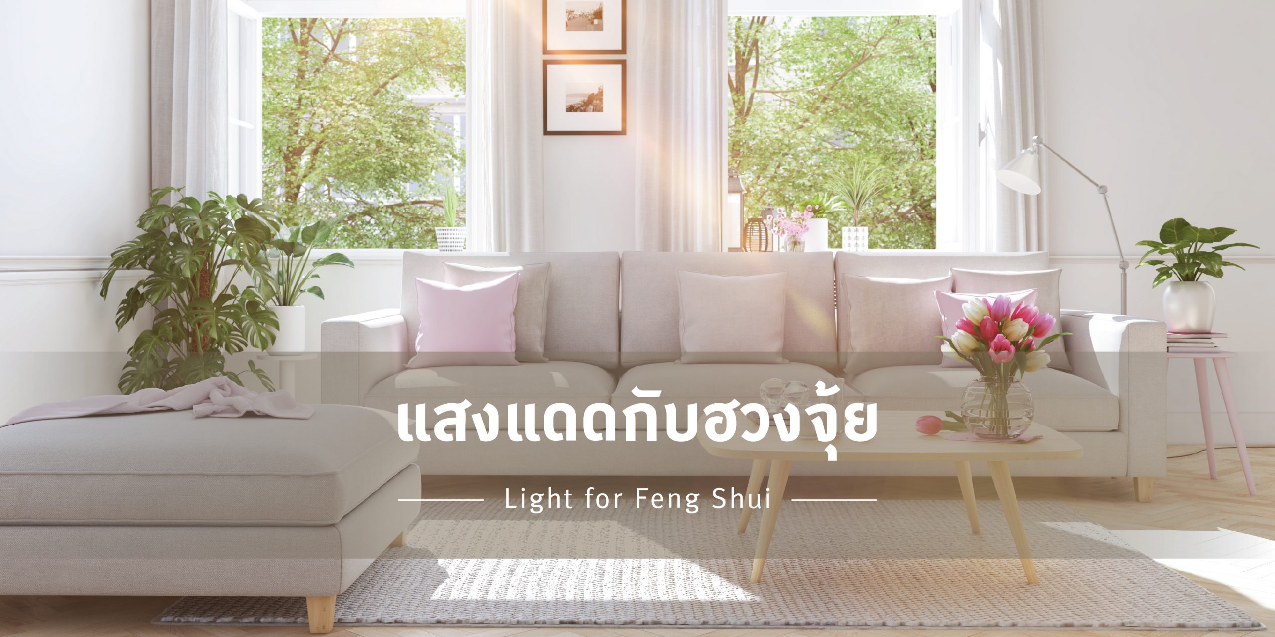 FIN: แสงแดดกับฮวงจุ้ย - Good Living Bangkok